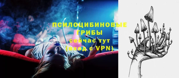 spice Мегион