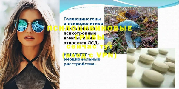 спиды Медвежьегорск