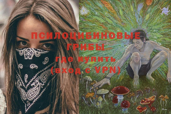 спиды Медвежьегорск