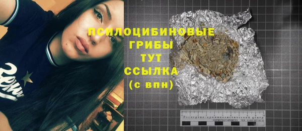 спиды Медвежьегорск